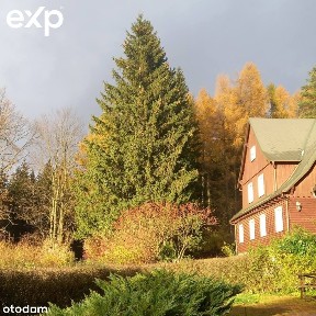Orłowiec, Lądek-Zdrój, kłodzki, dolnośląskie