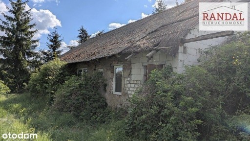 Orzeszkowo, Dominowo, średzki, wielkopolskie