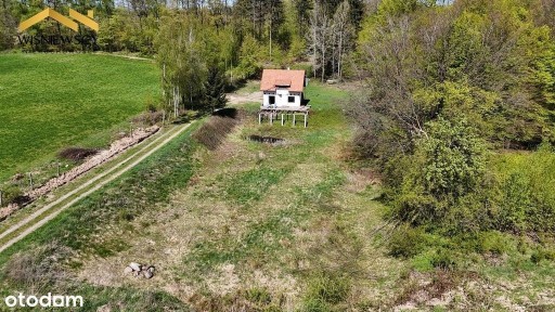Dom 75 m² z działką 2,5 ha i strumieniem-Ogrodniki