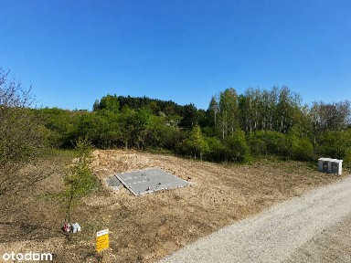 ul. Koniówki, Jaworzno, śląskie