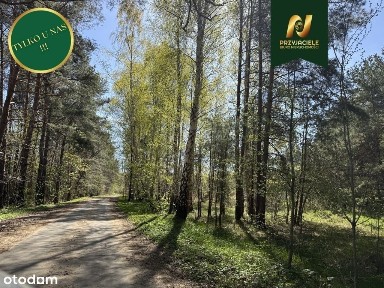 Działka 1000m2 z domem nad jeziorem - Jeziorak
