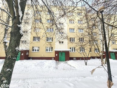 M-3| 50.67m2| 2pokoje| 4piętro| wynajem| Słoneczne