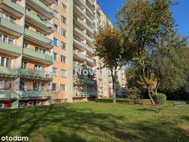 M-4 do remontu na 6-piętrze 48m2 Wzgórze Wolności.