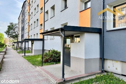 Komfortowe 2 pokoje | Duży potencjał | Os.Południe