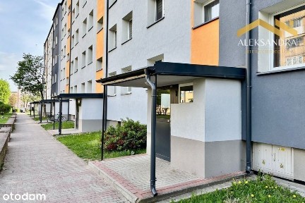 Komfortowe 2 pokoje | Duży potencjał | Os.Południe