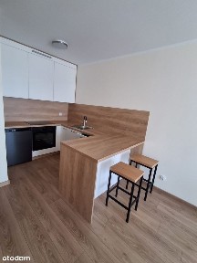 Nowe mieszkanie z balkonem na wynajem
