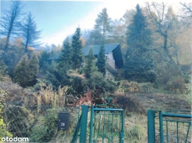 Dom z dużą działką przy Ojcowskim Parku Narodowym - natura i cisza