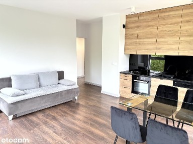 Wynajmę. 60 m2. Widok z okien na ogród
