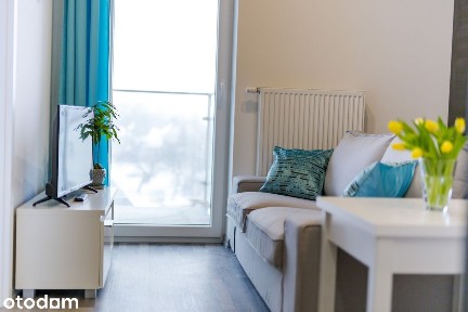 Mieszkanie na wynajem od 1 lipca- dwupokojowe 21 m2 Rzeszów ZIGZAK