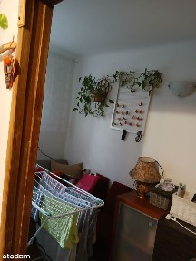 Mieszkanie na 1 piętrze w bloku dwuklatkowym - Bronowice, ul. Łabędzia