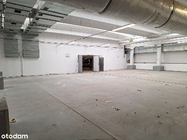 Duża hala magazynowa, ogrzewana, blisko centrum