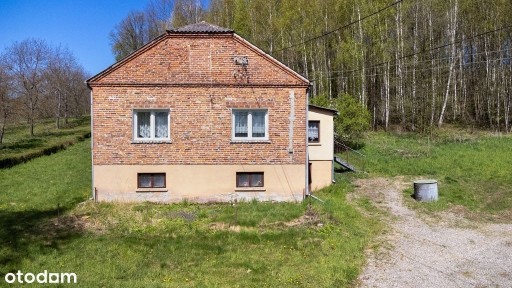 Dom murowany + budynek gospodarczy, 95ar | Nockowa