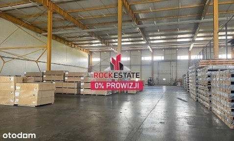 Magazyn na wynajem 3500 m2 - Grzędy