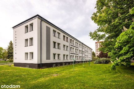 Przestronne mieszkanie z dużym potencjałem - 54 m2 (Traugutta)