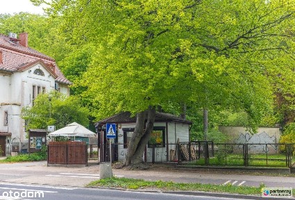Lokal w super lokalziacji!