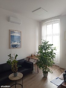 al. Wolności, Śródmieście, Kalisz, wielkopolskie