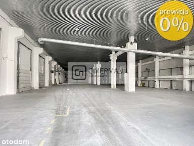 Hala magazynowo produkcyjna 4200 m2 lub 2300 m2