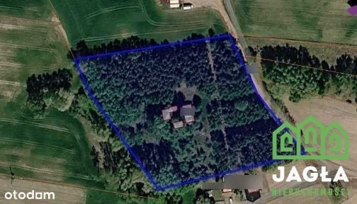 Jania Góra, Świekatowo, świecki, kujawsko-pomorskie
