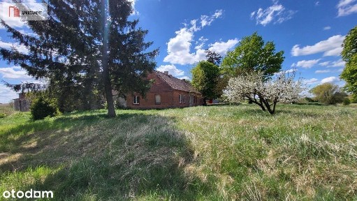 Dębionek, Sadki, nakielski, kujawsko-pomorskie