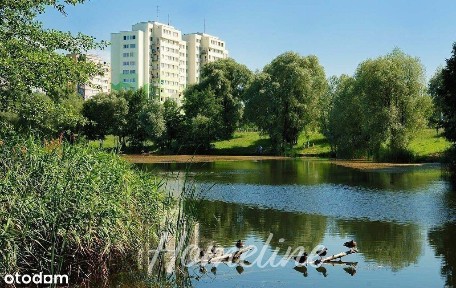 Pilczyce, Fabryczna, Wrocław, dolnośląskie
