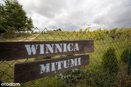 Winnica. Agroturystyka premium. Działający biznes.