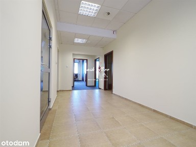 Lokal użytkowy, 377 m², Wrocław