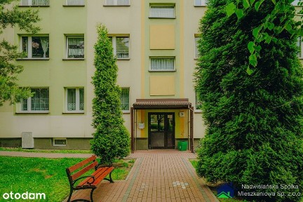 2-pokojowe mieszkanie w Bieruniu do wynajęcia