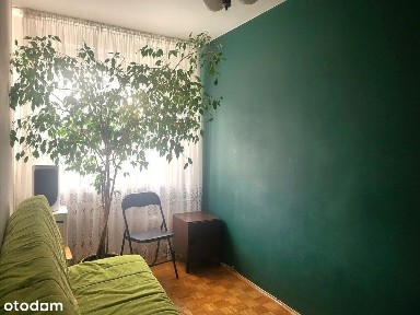 ustawne i ciepłe| nowe instalacje | basen miejski