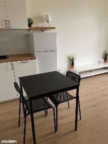 Mieszkanie 2 pokojowe po remoncie, w centrum