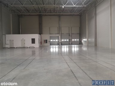 Magazyn 743m2 +biuro 85m2 h-10m doki,poziom 0