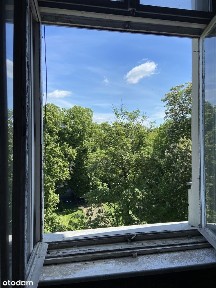 Łazarz mieszkanie kamienica 50m² 3,7m wysokości widok na Park Wilsona