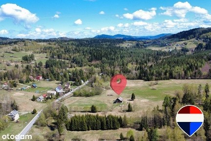 Klimatyczny drewniany dom z ogromnym terenem