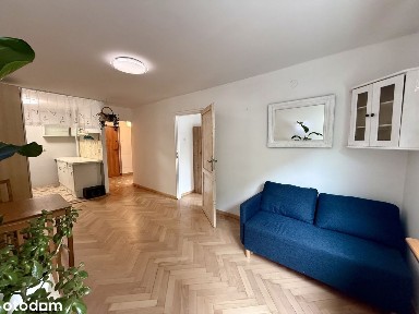 2 pokoje w centrum Wrocławia | wysoki parter | Pereca