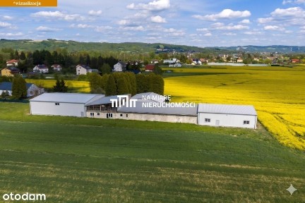 Dobrzechów, Strzyżów, strzyżowski, podkarpackie
