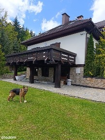 Limanowa, limanowski, małopolskie