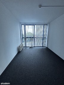 Winogrady, Stare Miasto, Poznań, wielkopolskie