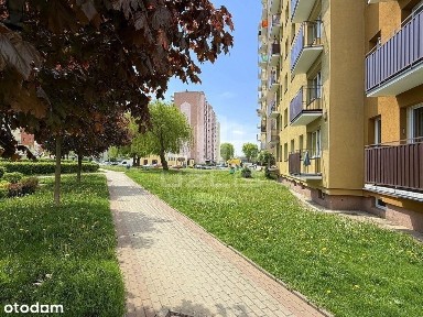 Kawalerka z ładnym widokiem, 10-piętro