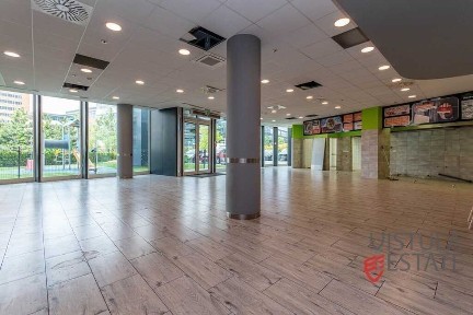 Lokal parterowy 246 m2 | możliwość gastronomii