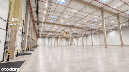 Magazyn Lędziny 18.000 m2 Górny Śląsk