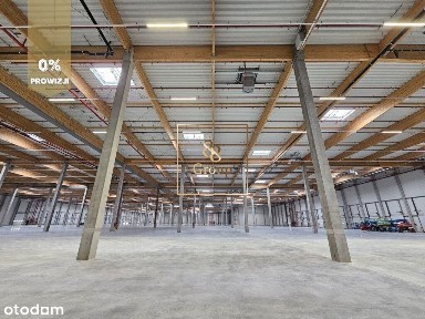 Hala 5 000 m2, wysokie składowanie. Stary Konik