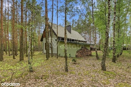 Całoroczny dom w lesie. Przestrzeń, cisza i natura