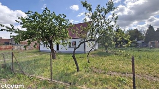 Modrzycy, działka 687 m2. Dom wolnostojący z ogrodem i strychem