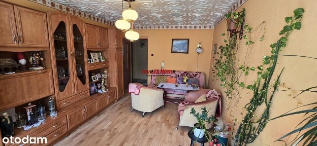 Dwu pokojowe mieszkanie na Tytki do wynajęcia.