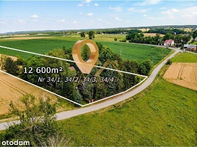 Klimatyczne siedlisko w naturze | 1,26 ha