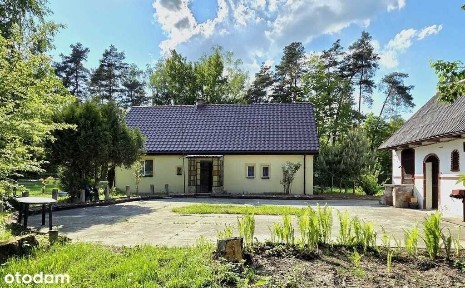 Rędziny, Żytno, radomszczański, łódzkie