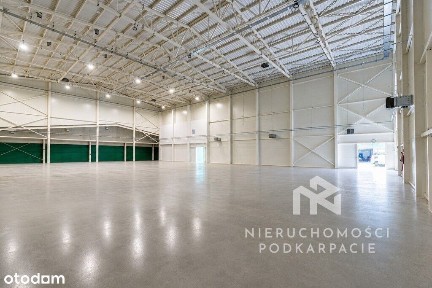 Hala magazynowo-handlowe 1 397 m² - biura