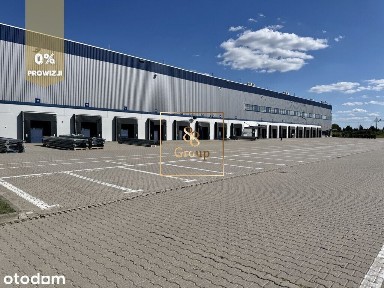 Magazyn 2000 - 4000m2 Ożarów Mazowiecki