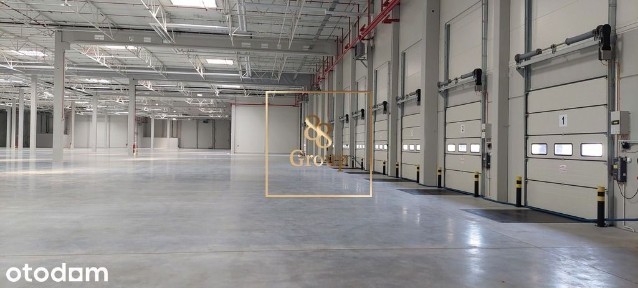 Do wynajęcia magazyn 3780m2 w Pruszkowie