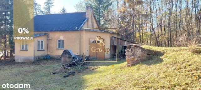 Siedlisko w sercu natury otoczone urokliwym lasem