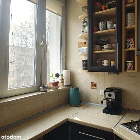 Mieszkanie M-4 Nowe Rokicie 52 m2